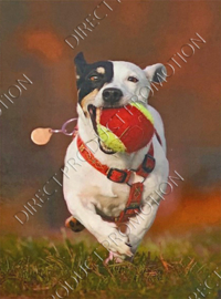 Diamond Painting "Jack Russell"