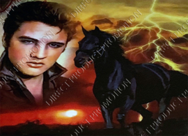 Diamond painting "Elvis and horse"