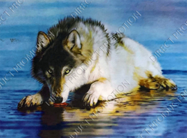 Diamond painting "Drinking wolf"