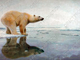 Diamond painting "Polar bear on ice"