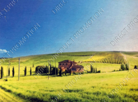 Diamond painting "Farm in pasture"