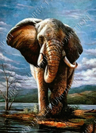 Diamond painting "Elephant"