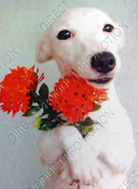 Diamond painting "Galgo puppy"