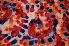 Een kapmanteltje van crêpe met een fantasie bloemmotief in de kleuren rood, oranje en blauw, met blauw biasband. Nog 1 op voorraad.