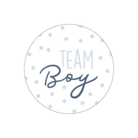Sticker | Team Boy