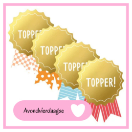 Wat geef je aan het einde van de Avondvierdaagse?