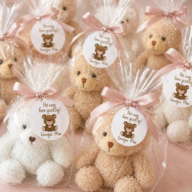 Traktatiestickers| Het was Bere Gezellig! | Met naam