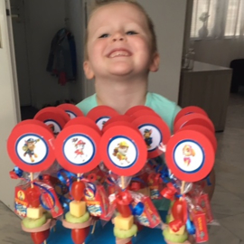 Kant en klaar pakket Paw Patrol