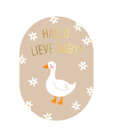 Wenskaart Ovaal A6 | Hallo lieve baby