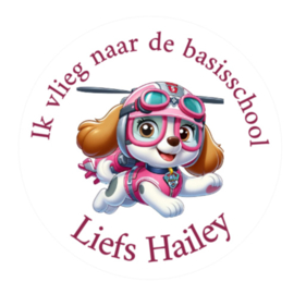 Traktatiestickers | Skye |Ik vlieg.... | Met naam