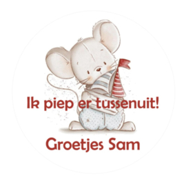 Traktatiestickers | Ik piep ertussenuit | Met naam