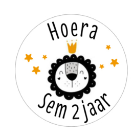 Sticker | Leeuw