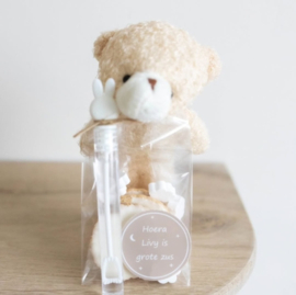 Mini pluche Beertje | Het was beregezellig | 3 kleuren
