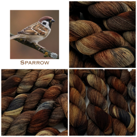 Sparrow
