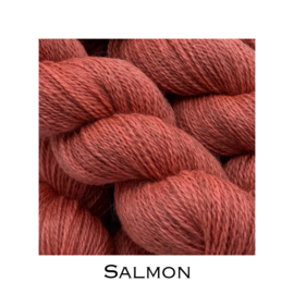 Salmon
