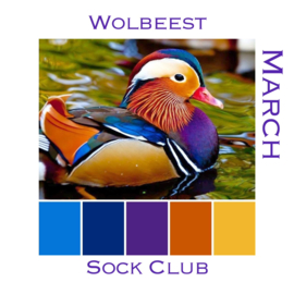 Sokkenclub Colour Explosions Maart