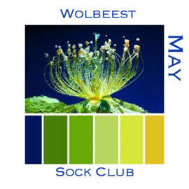 Sokkenclub Colour Explosions Mei