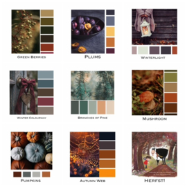 Autumn into Winter  -  November Sock Month 2026