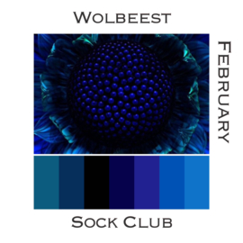 Sock Club Colour Explosions - Februari