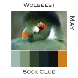 Sock Club Vogels - Mei - merino sok 100gr.