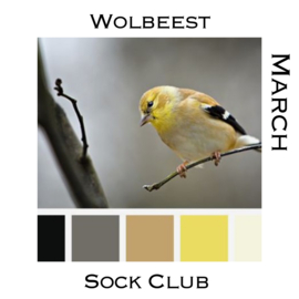 Sock Club -Vogels  - Maart