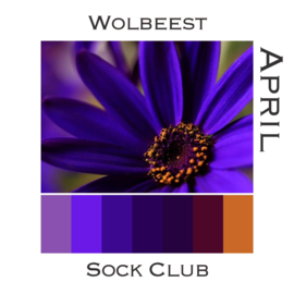 Sock Club Colour Explosions - April