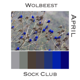 Sock Club Vogels - April