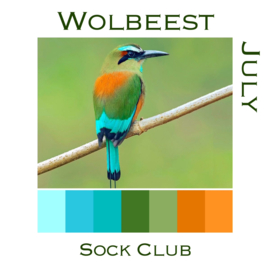 Sokkenclub Vogels Juli
