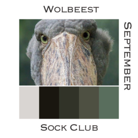 Sock Club Vogels - September