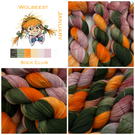 January sock club illustrators