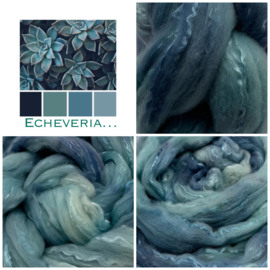 Echeveria...