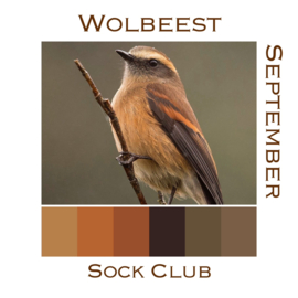 Sokkenclub Vogels September