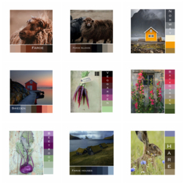 Colours of the World 2026 - Basis sok 4 x 100gr