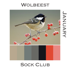 Sock Club Vogels - January