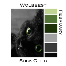 Sokkenclub Colour Explosions Februari