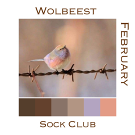 Sokkenclub Vogels Februari