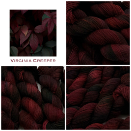 Virginia Creeper