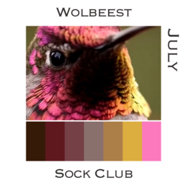 Sock Club Vogels - Juli