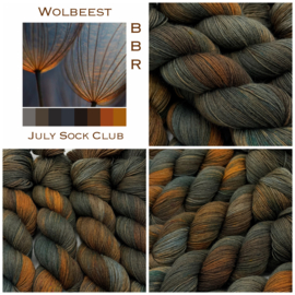 BBR Sock Club - Juli