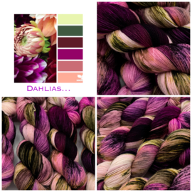 Dahlias