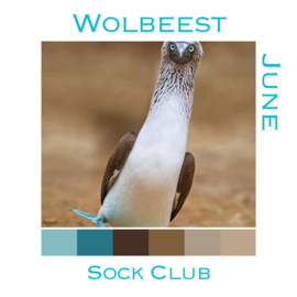 Sokkenclub Vogels Juni