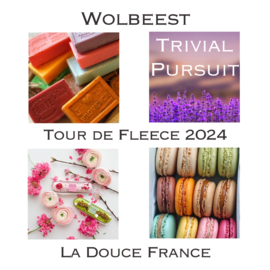 Tour de Fleece 2024 - La Douce France - 21 mini's yarn edition