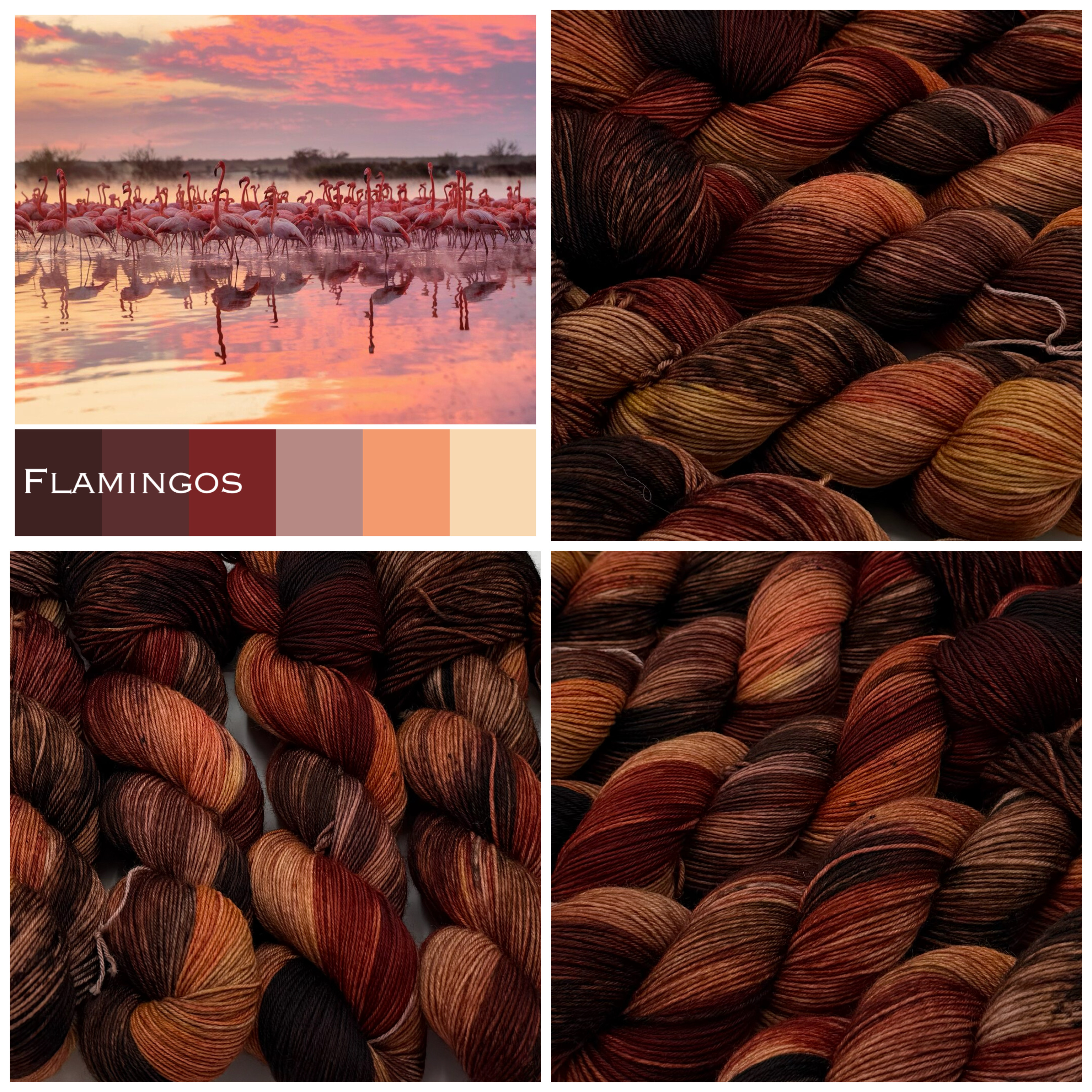 Flamingo's