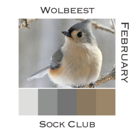 Sock Club Vogels - February