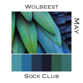 Sock Club Colour Explosions - Mei