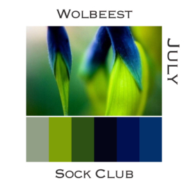 Sock Club Colour Explosions - Juli