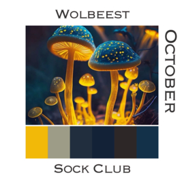 Sock Club Colour Explosions - October