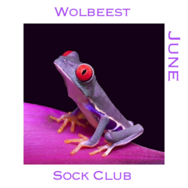Sock Club - Reptielen/Kikkers/Insecten  - Juni