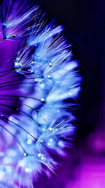 Purple, blue & teal - 12 dgn spin advent - betaling in termijnen (€50 bij aanmelding - rest op 31 mei)