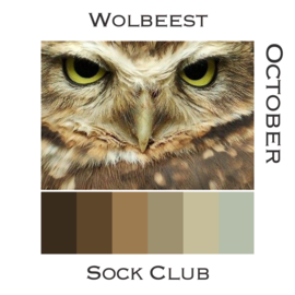 Sock Club Vogels - October